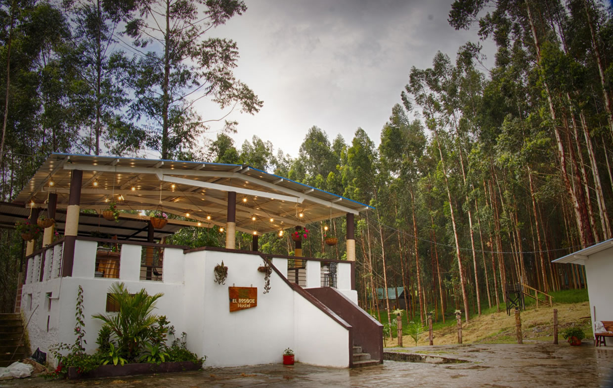 El Bosque Hostel vive una experiencia natural