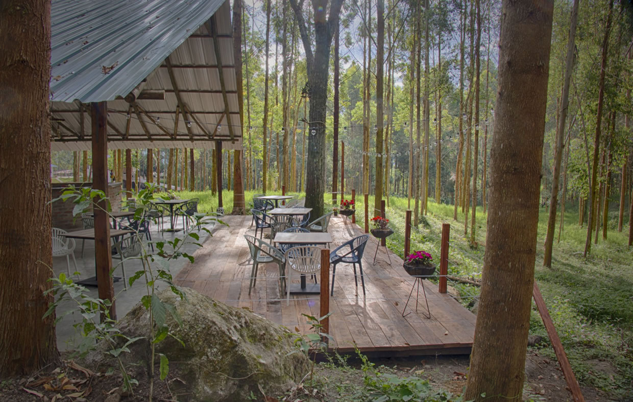 El Bosque Hostel vive una experiencia natural