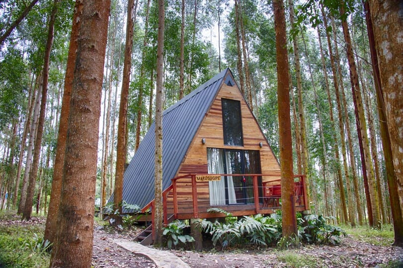 El Bosque Hostel vive una experiencia natural